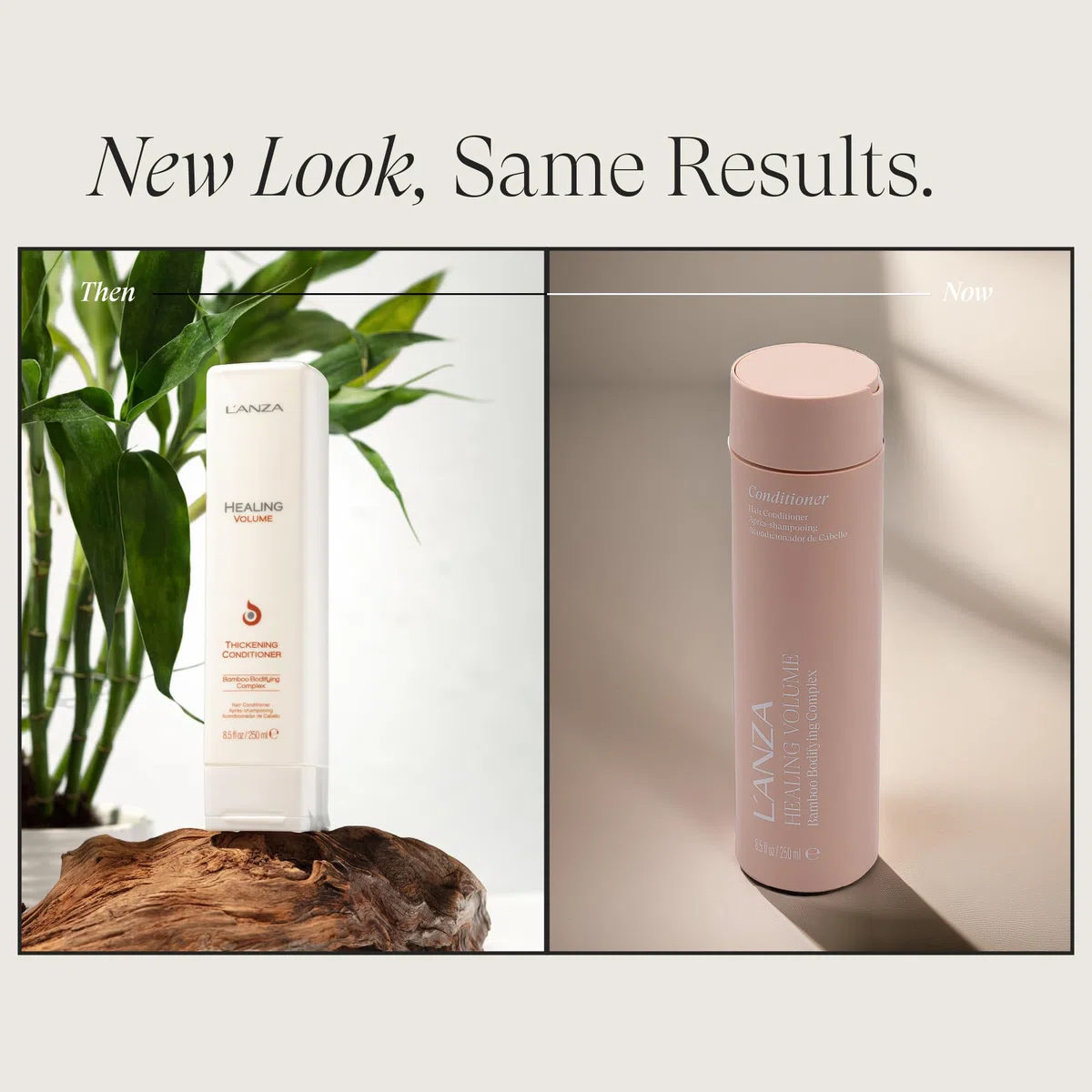 L'ANZA Après-Shampoing Épaississant 250 ml - Renforce Volume Densité Cheveu, Bambou Kératine