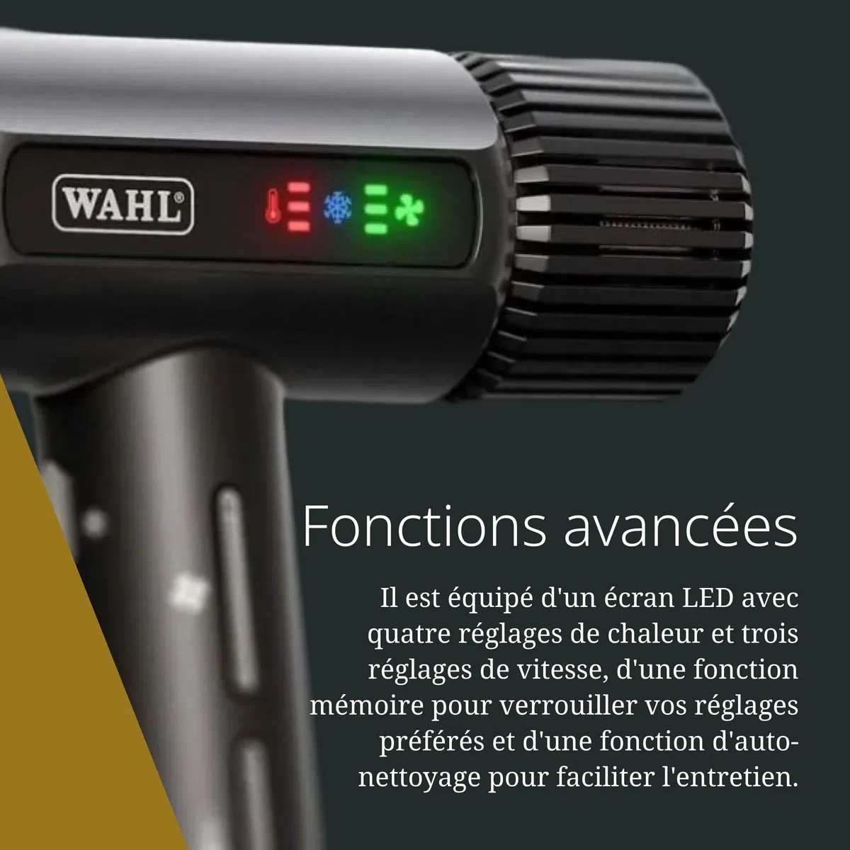 Wahl Vanquish - Sèche-cheveux professionnel - Séchage rapide - Avec embouts magnétiques et diffuseur - Noir