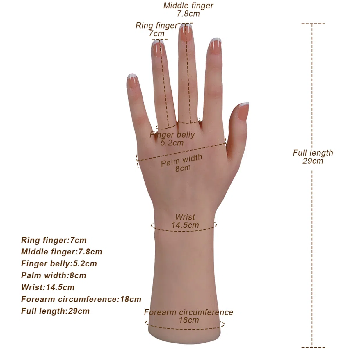 Main de Silicone Femme Mannequin Taille Réelle pour Bijoux, Art, Esquisse avec Ongle (Main Gauche, Ivoire)