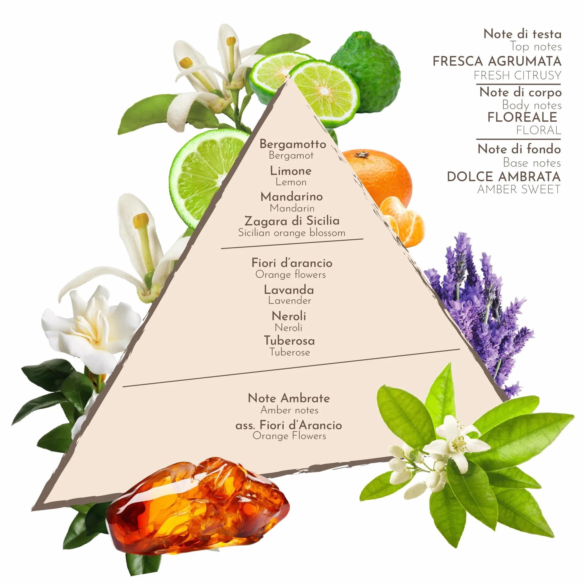 Profumi Zuma - Parfum Zagara Cologne Spray - La Fragrance Historique depuis 1943 qui Réveille la Fraîcheur de la Fleur d'Oranger Made in Sicily (Zagara Zuma 100 ml)