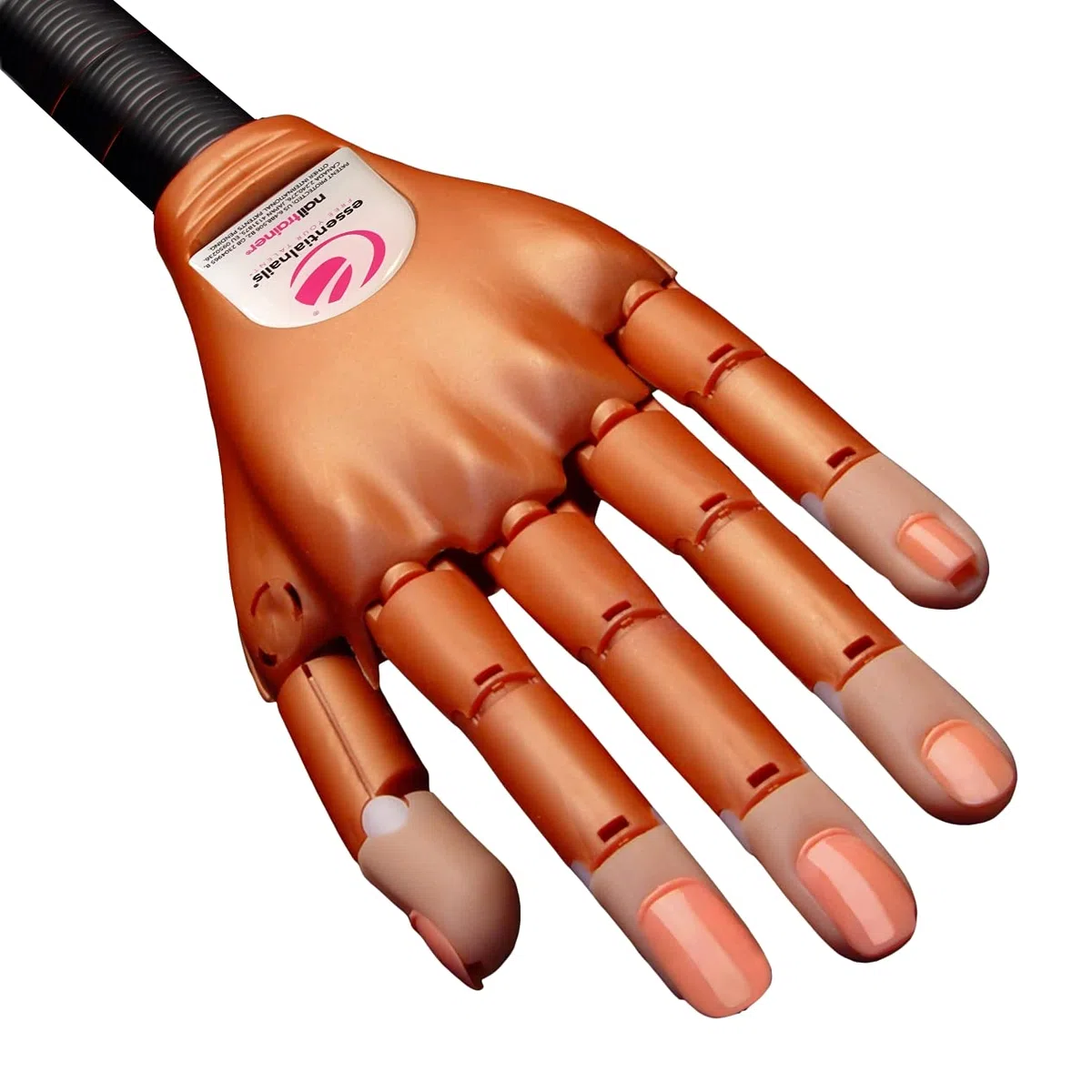 Essential Nail Products Ltd The Nail Trainer Main d'entraînement (en anglais)