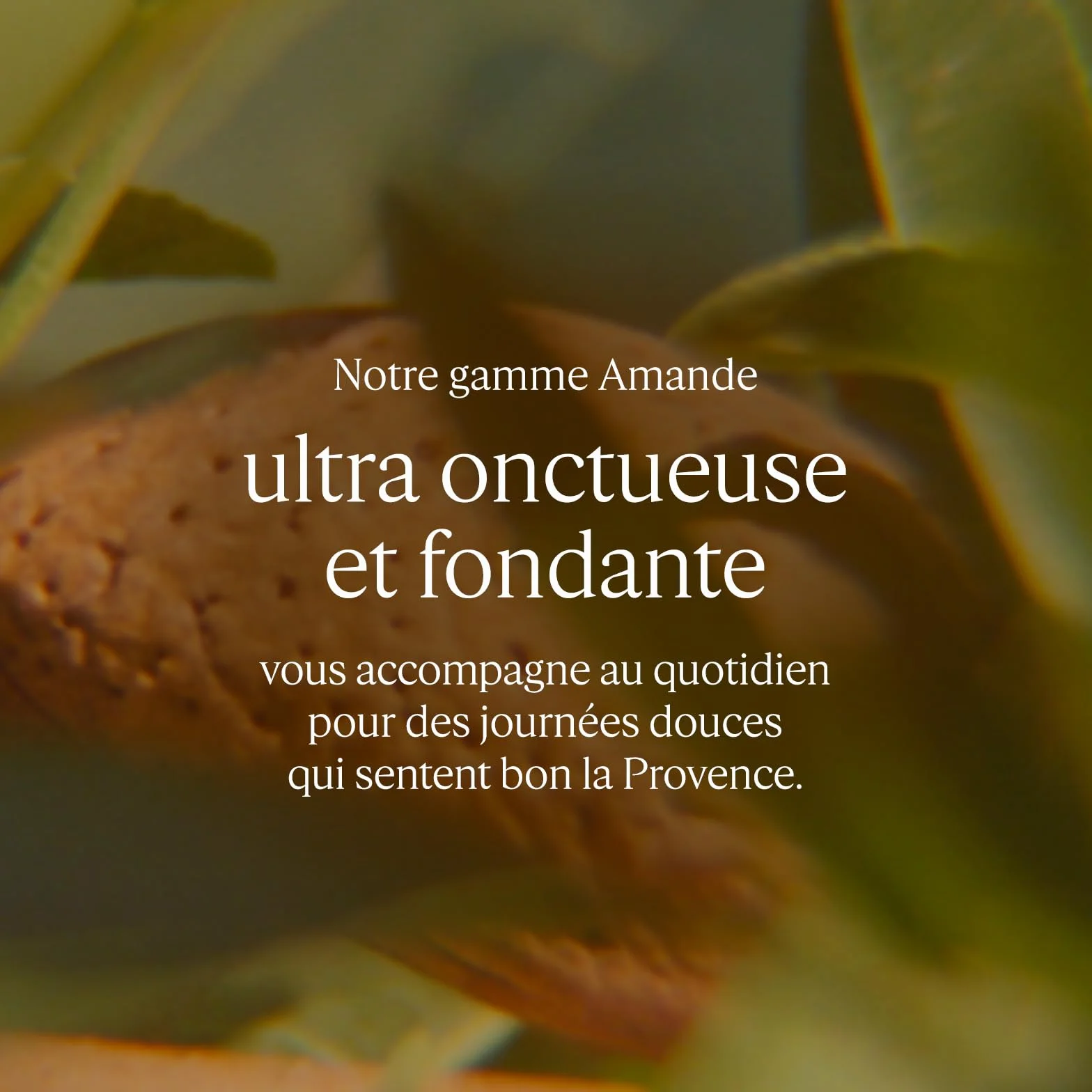 L'OCCITANE Pâte Délice Gommage Corps Amande 200 ml Exfolie et nourrit Fabriqué en France