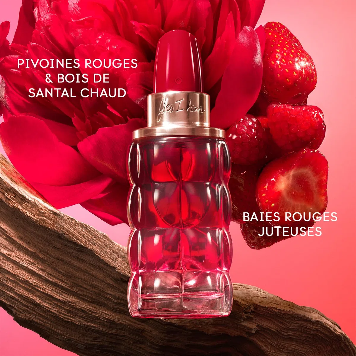 Cacharel - Yes I Am Bloom Up! - Coffret Cadeau Eau de Parfum - Parfum pour Femme Pétillante et Optimiste - Fragrance Florale et Ambrée - Longue Tenue - Parfum de Luxe pour Femme - 50 ml & 10 ml