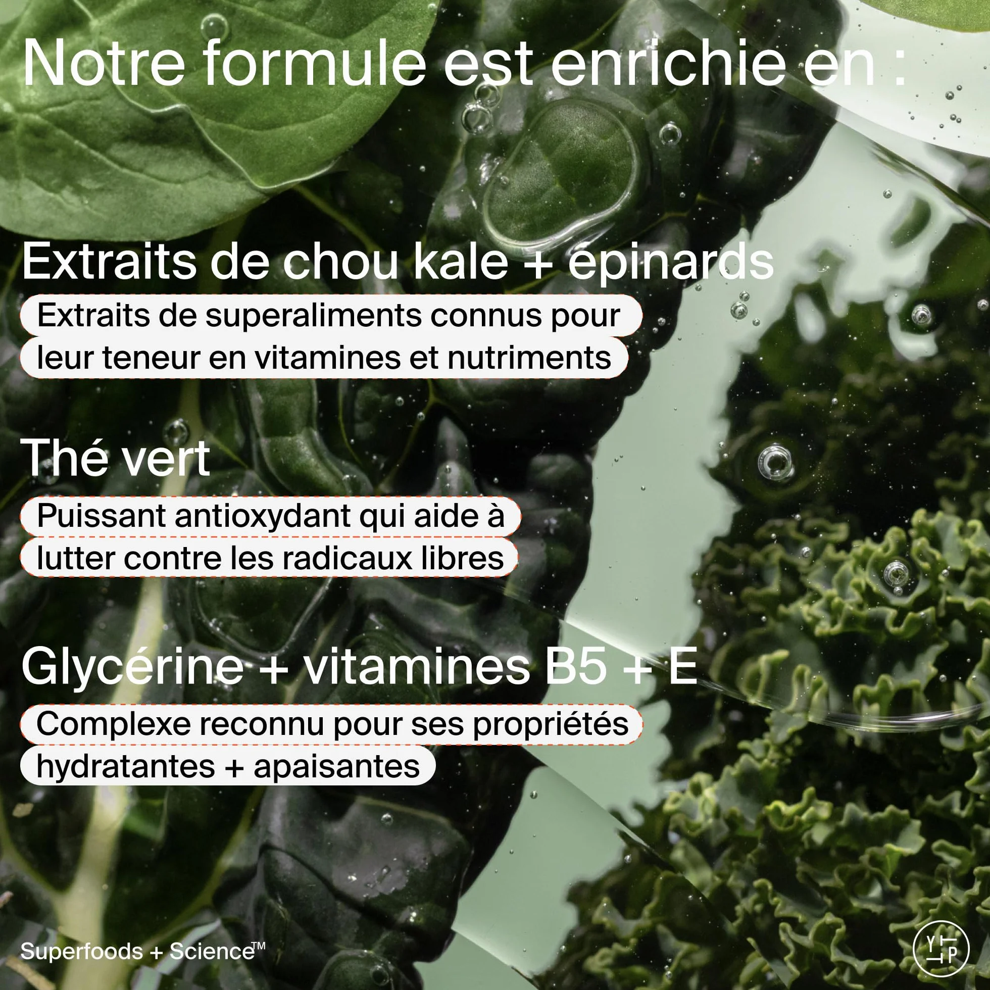 Youth To The People Superfood Cleanser, Nettoyant Visage Enrichi en Chou Kale, Thé Vert & Épinards, pH Équilibré