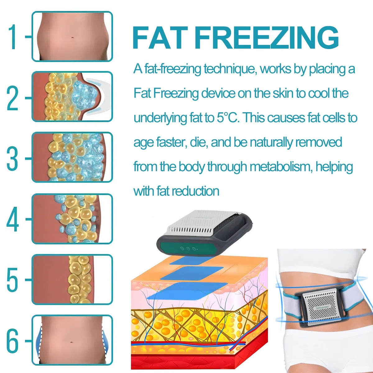 Machine de congélation des graisses - Appareil de cryothérapie portable pour éliminer la cellulite et la graisse du ventre, appareil amincissant le corps