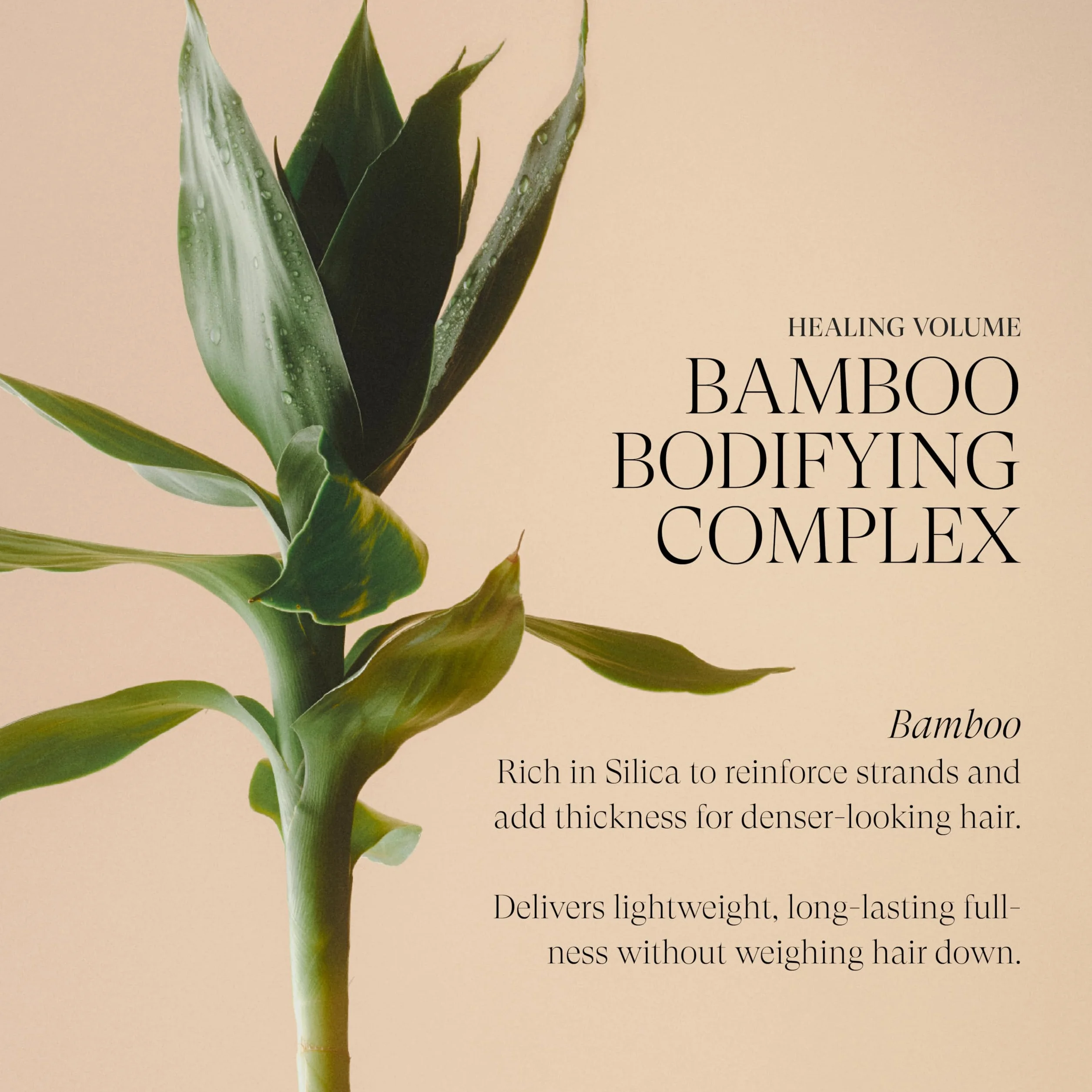 L'ANZA Après-Shampoing Épaississant 250 ml - Renforce Volume Densité Cheveu, Bambou Kératine