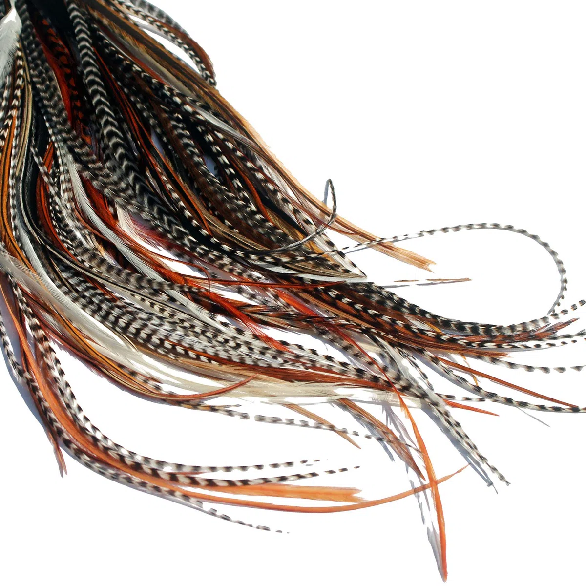 20 extensions de cheveux en vraies plumes + anneaux/boucle B-GRADE (Nats)